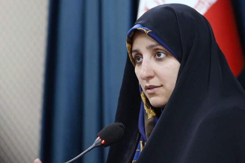 بهروزآذر: بیش از ۵۷۰۰ زن در عرصه‌های مدیریتی فعال‌اند؛ سند ملی اشتغال زنان تصویب شد