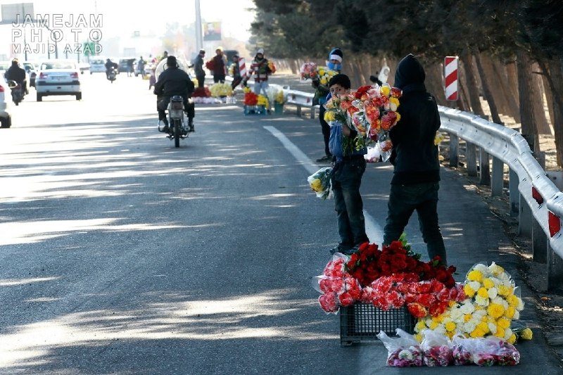 انتقال ۷۰ درصد وانت‌بارهای متخلف تهران به پارکینگ