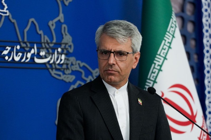 سخنگوی وزارت خارجه: آگاه نبودند که آنجا شیراناند