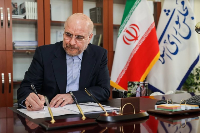 عارف: قهرمانی کشتی فرنگی ایران، نشانه‌ای از خودباوری و توانمندی نسل جوان