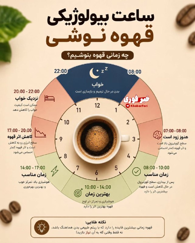 بهترین زمان نوشیدن قهوه بر اساس ریتم بیولوژیکی بدن
