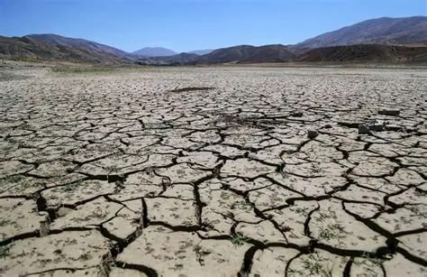 رئیس دانشگاه تهران: ۳۲ راهبرد مدیریت بحران آب به دولت ارائه شد