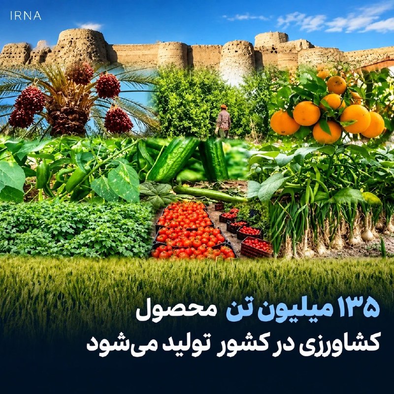 تولید کشاورزی ایران به ۱۳۵ میلیون تن رسید