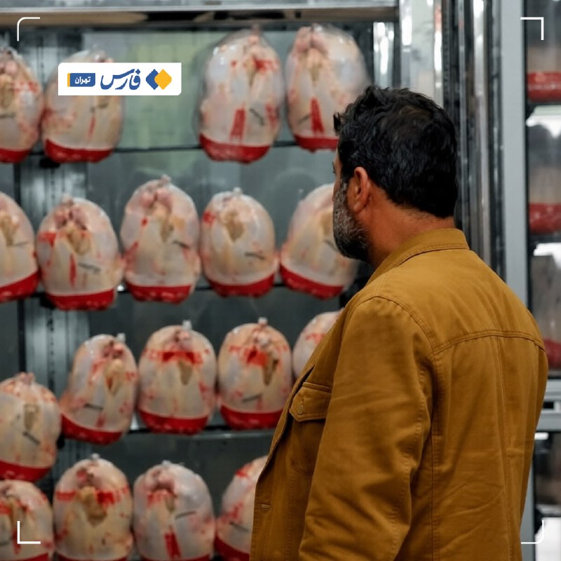 افزایش قیمت مرغ در تهران؛ مسئول: هزینه تولید دست‌کم دو برابر شده