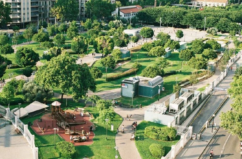 پژوهش جدید: زندگی در محله‌های سرسبز تا ۲۰ درصد ریسک زوال عقل را کاهش می‌دهد