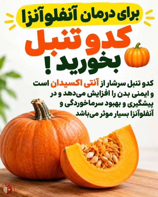 کدو تنبل؛ میوه‌ای پاییزی با اثرات مؤثر بر تقویت ایمنی بدن