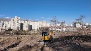 احیای پارک جنگلی چیتگر با حذف ۲۵ هزار درخت خشکیده