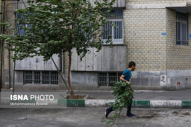 افزایش سرعت وزش باد در تهران از بعد از ظهر سه‌شنبه