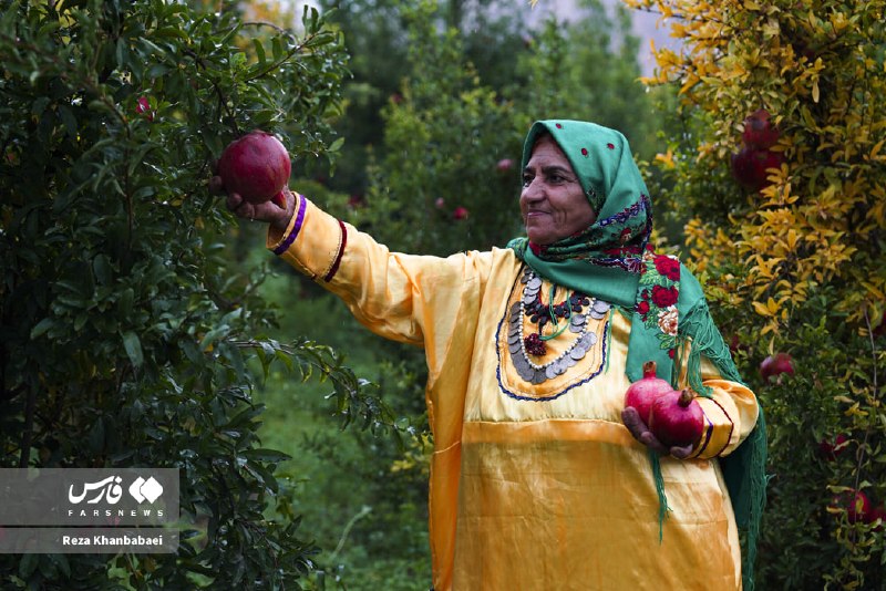 نهمیل، سرزمین یاقوت سرخ