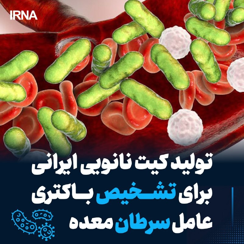 تولید کیت نانویی ایرانی برای تشخیص باکتری عامل سرطان معده