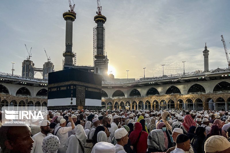 مشارکت بخش خصوصی، راهکار کاهش هزینه اعزام زائران