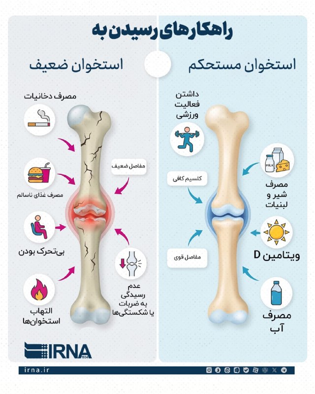 راهکارهای رسیدن به استخوان مستحکم