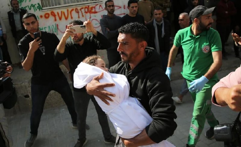 شهادت ۴ فلسطینی در غزه و ۳۰ حمله شهرک‌نشینان به باغداران کرانه باختری