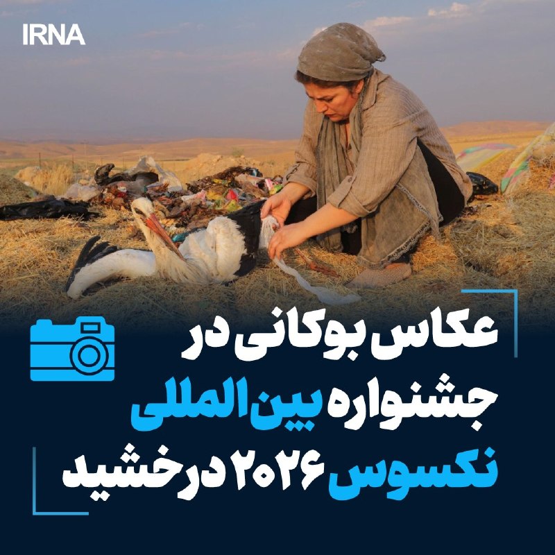 عکاس بوکان در جشنواره بین‌المللی نکسوس ۲۰۲۶ برنده جایزه برگزیده داوران شد