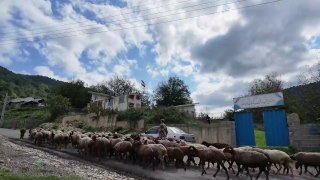 مدرسه‌ای با یک دانش‌آموز در روستای زلم رودبار
